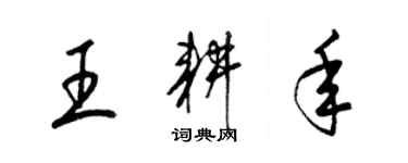 梁锦英王耕年草书个性签名怎么写