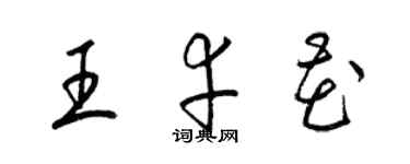 梁锦英王幸花草书个性签名怎么写