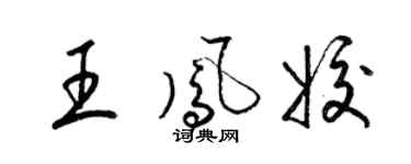 梁锦英王凤姣草书个性签名怎么写