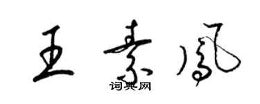 梁锦英王素凤草书个性签名怎么写