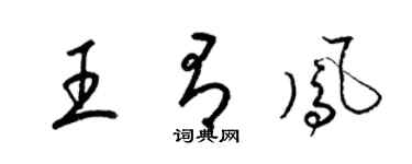 梁锦英王有凤草书个性签名怎么写