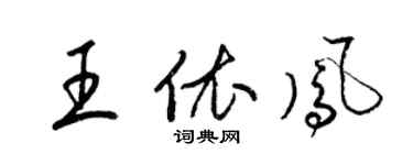 梁锦英王依凤草书个性签名怎么写