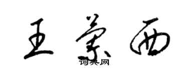 梁锦英王兰西草书个性签名怎么写