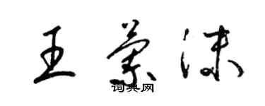 梁锦英王兰沫草书个性签名怎么写