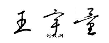 梁锦英王宇量草书个性签名怎么写