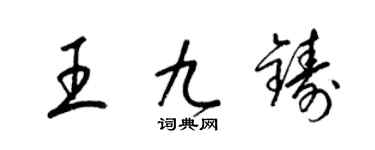 梁锦英王九铸草书个性签名怎么写