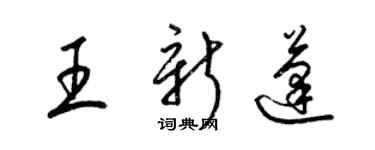 梁锦英王新蓬草书个性签名怎么写