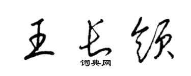 梁锦英王长领草书个性签名怎么写