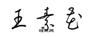 梁锦英王素花草书个性签名怎么写
