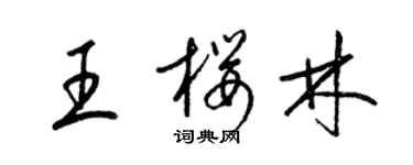 梁锦英王樱林草书个性签名怎么写