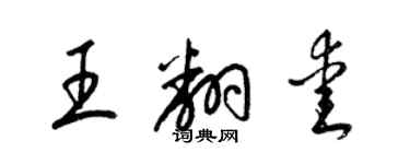 梁锦英王翻爱草书个性签名怎么写