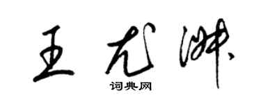 梁锦英王尤淑草书个性签名怎么写