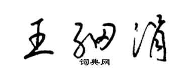 梁锦英王细涓草书个性签名怎么写