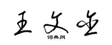 梁锦英王文含草书个性签名怎么写