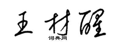 梁锦英王材醒草书个性签名怎么写