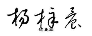 梁锦英杨梓晨草书个性签名怎么写