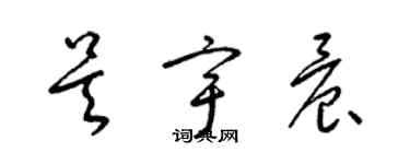 梁锦英吴宇晨草书个性签名怎么写