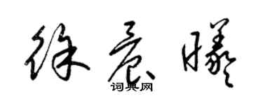 梁锦英徐晨曦草书个性签名怎么写