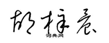 梁锦英胡梓晨草书个性签名怎么写