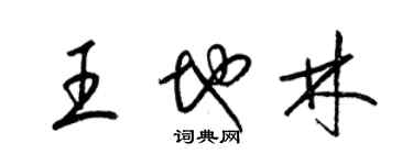 梁锦英王地林草书个性签名怎么写