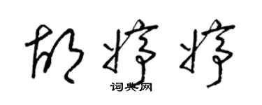 梁锦英胡婷婷草书个性签名怎么写