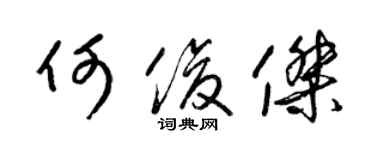 梁锦英何俊杰草书个性签名怎么写