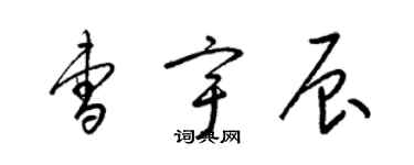 梁锦英曹宇辰草书个性签名怎么写