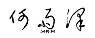 梁锦英何雨泽草书个性签名怎么写