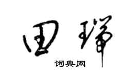 梁锦英田瑞草书个性签名怎么写