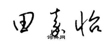 梁锦英田嘉怡草书个性签名怎么写