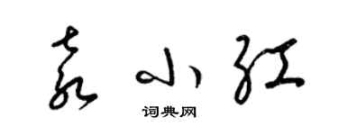 梁锦英袁小红草书个性签名怎么写