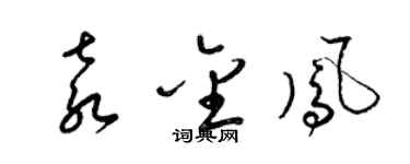 梁锦英袁金凤草书个性签名怎么写