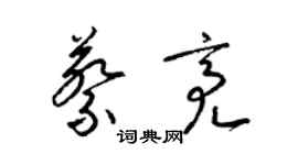 梁锦英蔡亮草书个性签名怎么写