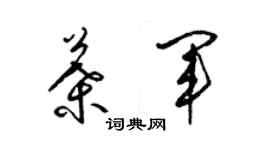 梁锦英叶军草书个性签名怎么写