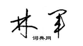 梁锦英林军草书个性签名怎么写