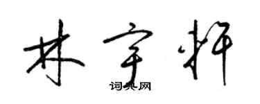 梁锦英林宇轩草书个性签名怎么写