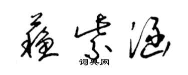 梁锦英苏紫涵草书个性签名怎么写