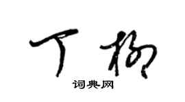 梁锦英丁柳草书个性签名怎么写