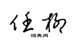 梁锦英任柳草书个性签名怎么写
