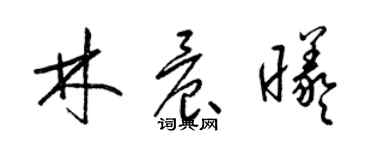 梁锦英林晨曦草书个性签名怎么写