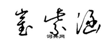 梁锦英崔紫涵草书个性签名怎么写