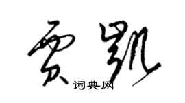 梁锦英贾凯草书个性签名怎么写