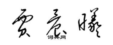 梁锦英贾晨曦草书个性签名怎么写