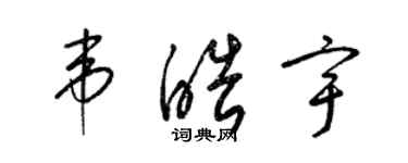 梁锦英韦皓宇草书个性签名怎么写