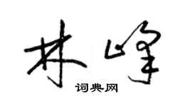 梁锦英林峰草书个性签名怎么写