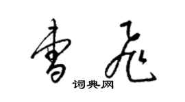 梁锦英曹飞草书个性签名怎么写