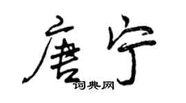 曾庆福唐宁行书个性签名怎么写
