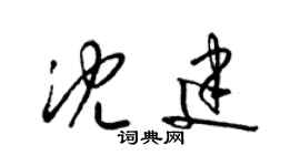 梁锦英沈建草书个性签名怎么写