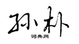 曾庆福孙朴行书个性签名怎么写