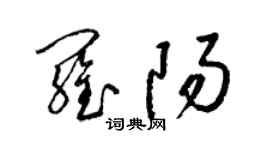 梁锦英罗阳草书个性签名怎么写
